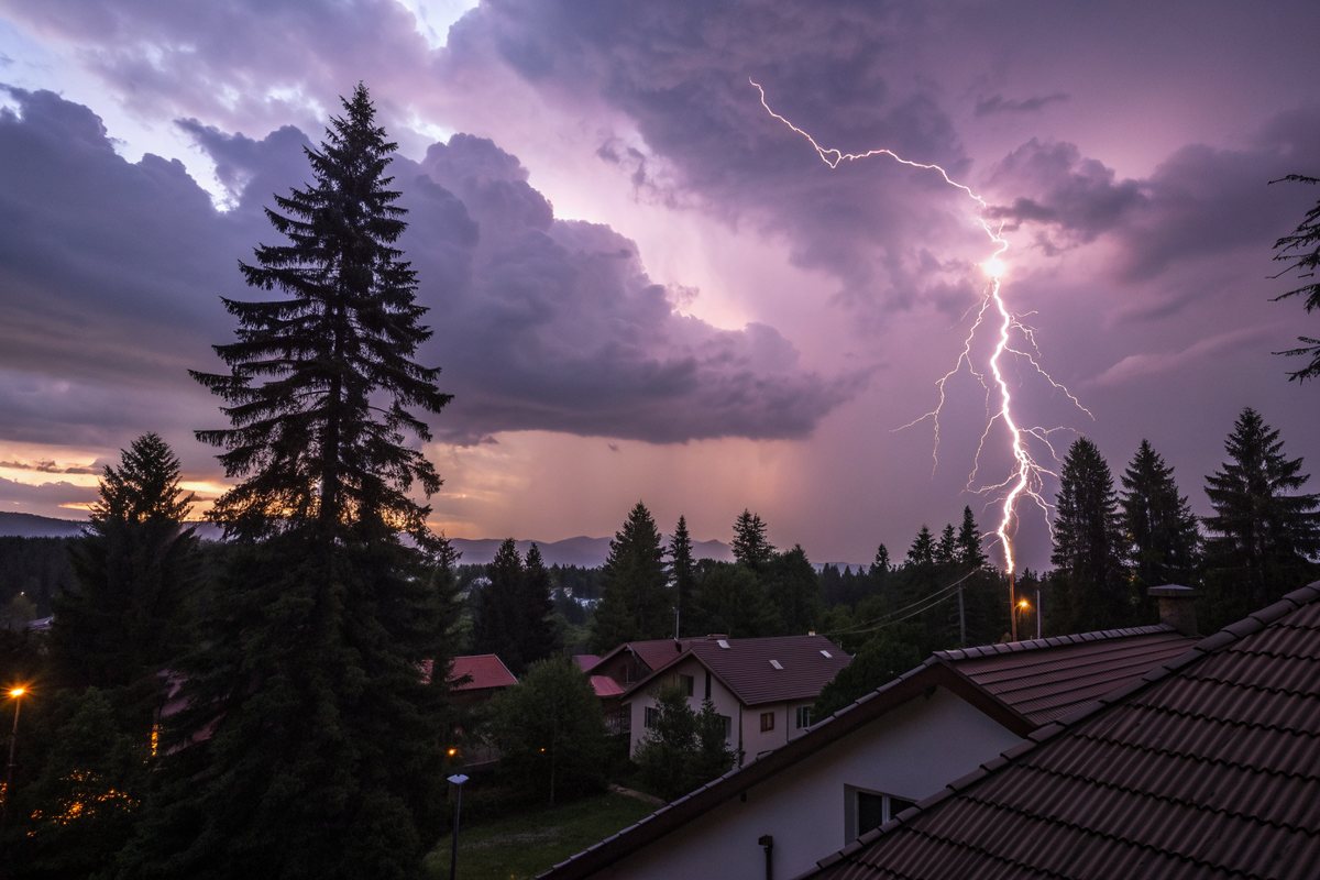 Lightning under purple storm clouds above pines and rooftops at dusk